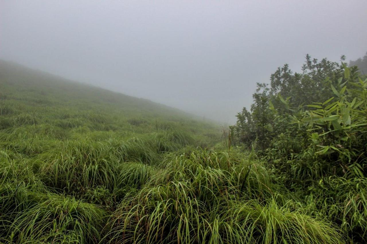 7Th Heaven Kannur Chakkarakkal Exterior photo